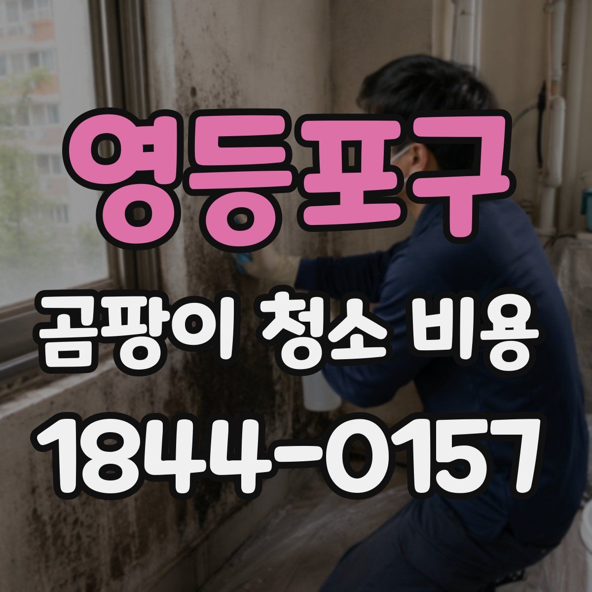 영등포구 곰팡이 청소 비용