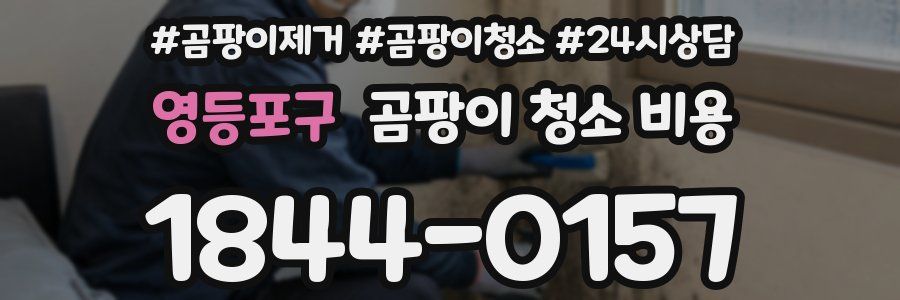 영등포구 곰팡이 청소 비용