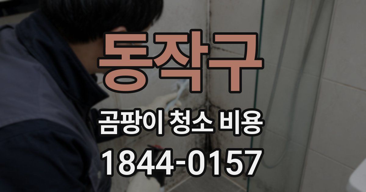 동작구 곰팡이 청소 비용