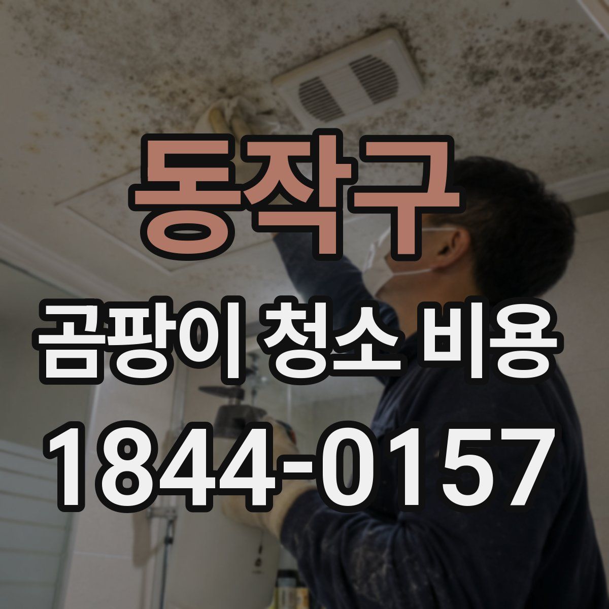 동작구 곰팡이 청소 비용