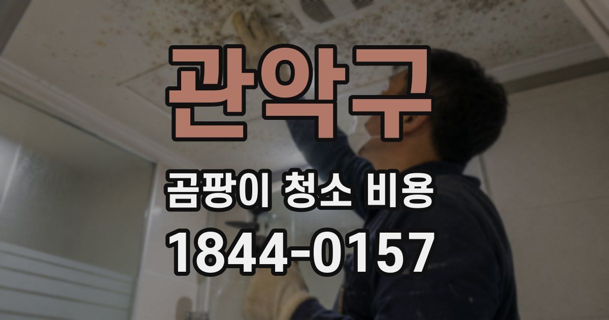 관악구 곰팡이 청소 비용