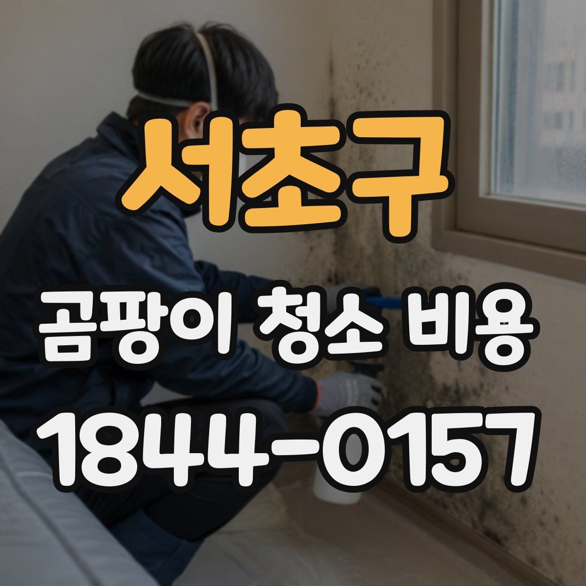 서초구 곰팡이 청소 비용