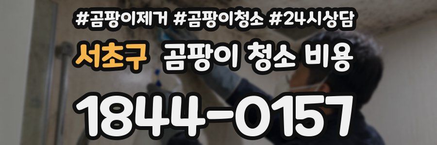 서초구 곰팡이 청소 비용