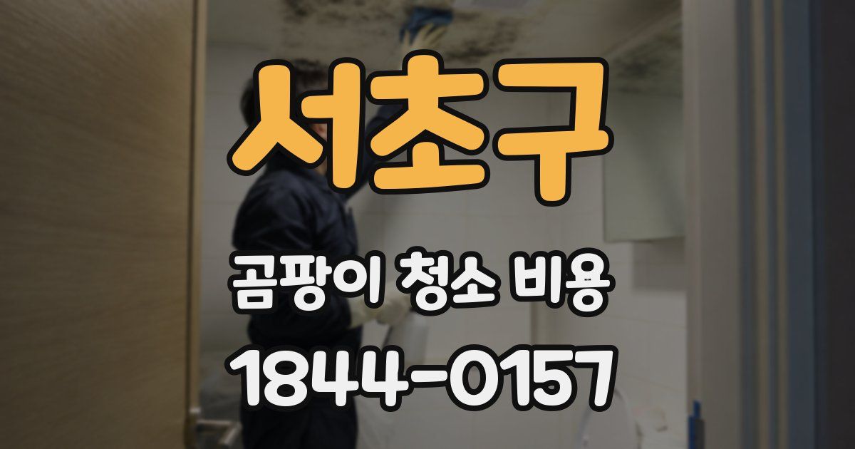 서초구 곰팡이 청소 비용