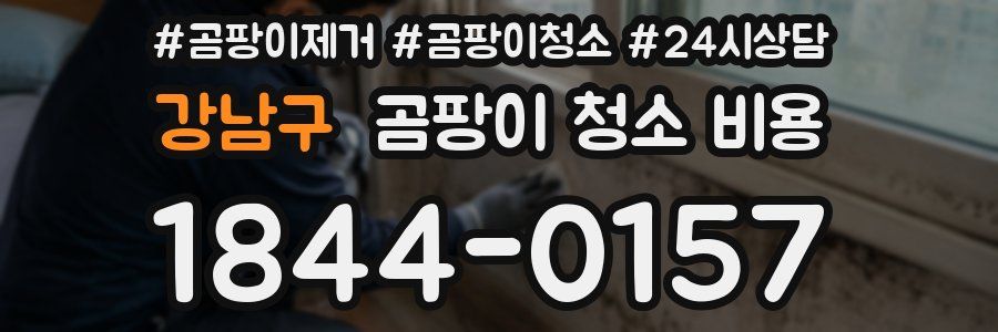 강남구 곰팡이 청소 비용