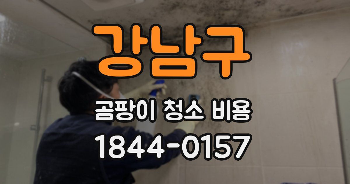 강남구 곰팡이 청소 비용