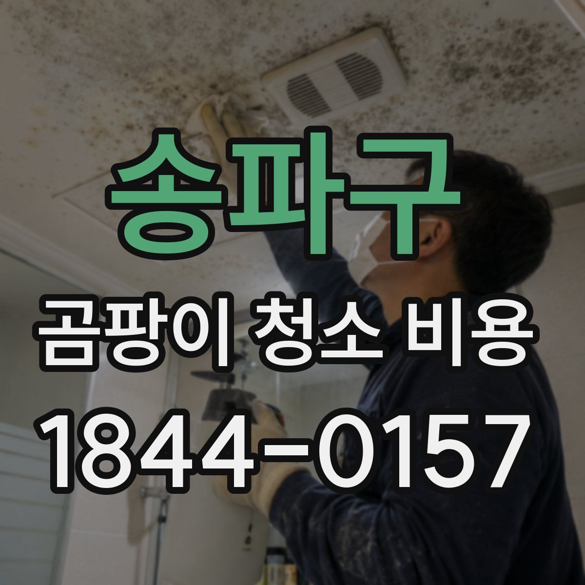 송파구 곰팡이 청소 비용