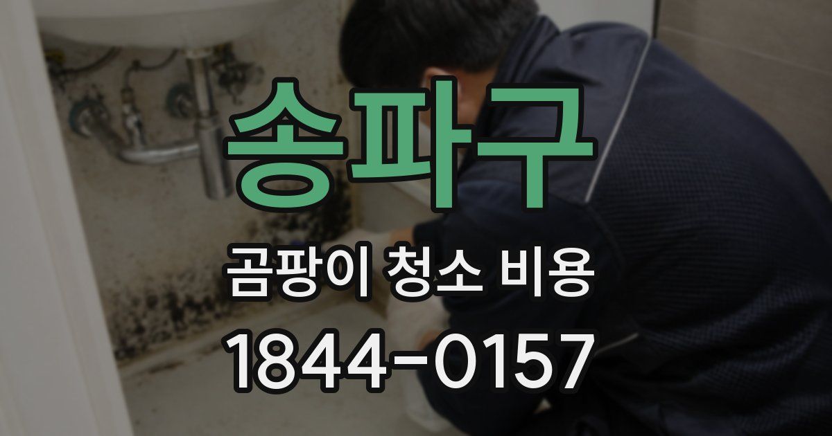 송파구 곰팡이 청소 비용