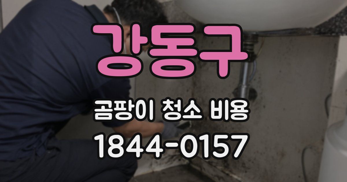 강동구 곰팡이 청소 비용