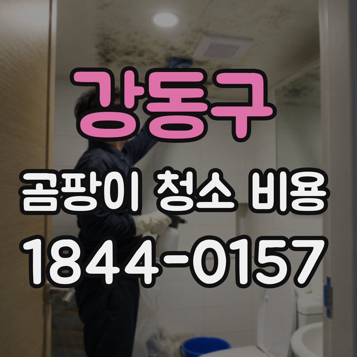 강동구 곰팡이 청소 비용
