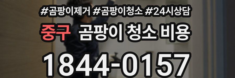 중구 곰팡이 청소 비용