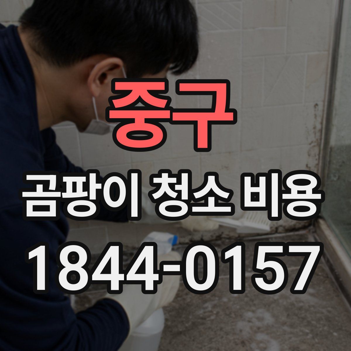 중구 곰팡이 청소 비용