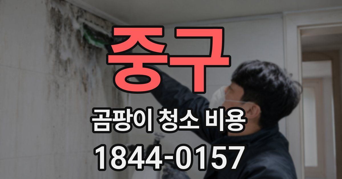중구 곰팡이 청소 비용