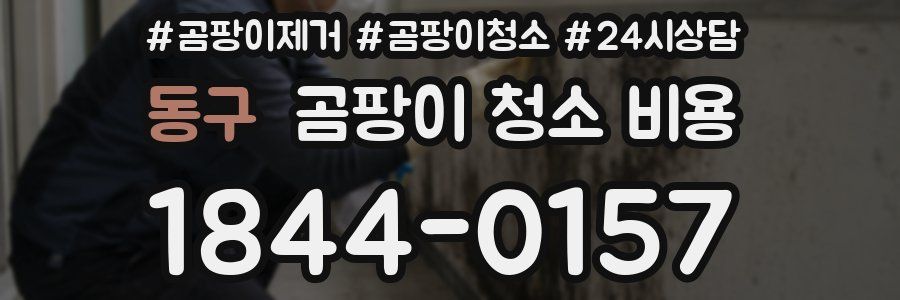 동구 곰팡이 청소 비용