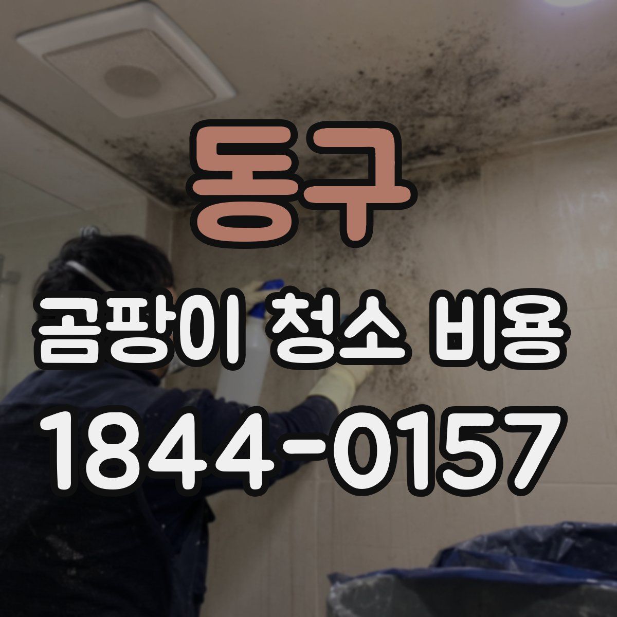 동구 곰팡이 청소 비용