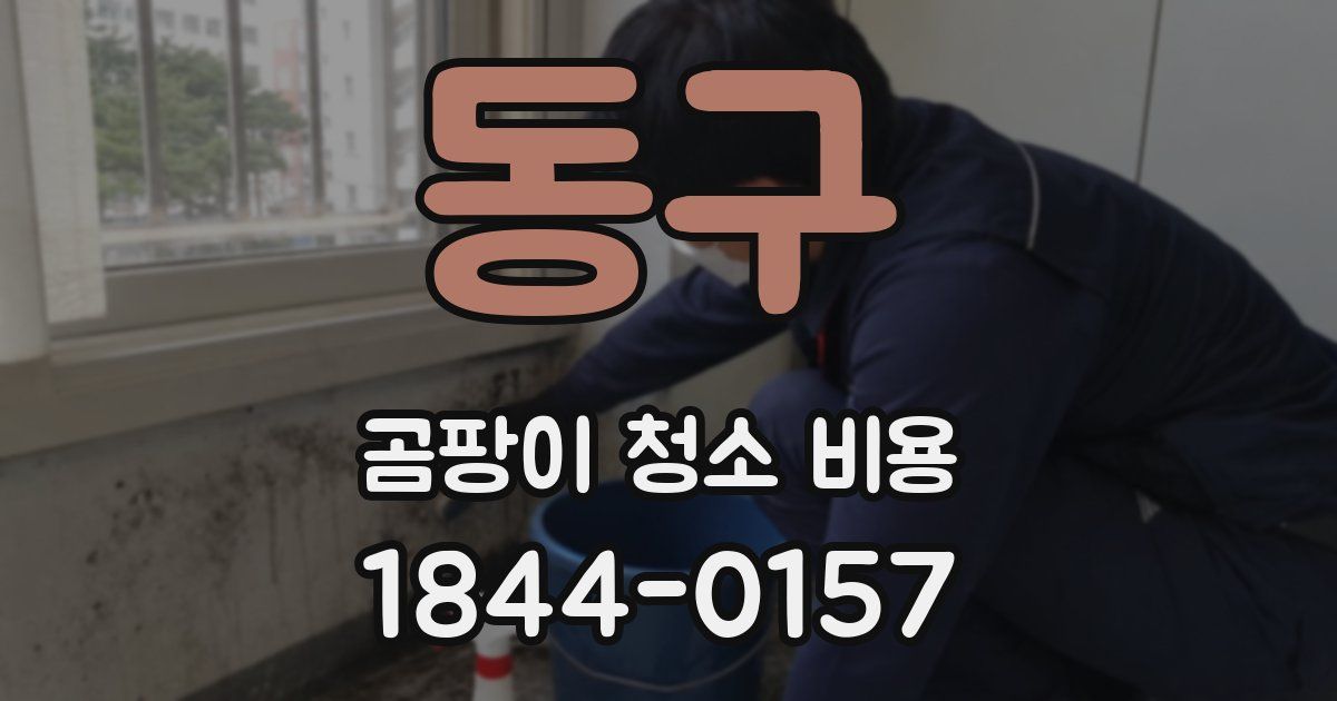 동구 곰팡이 청소 비용