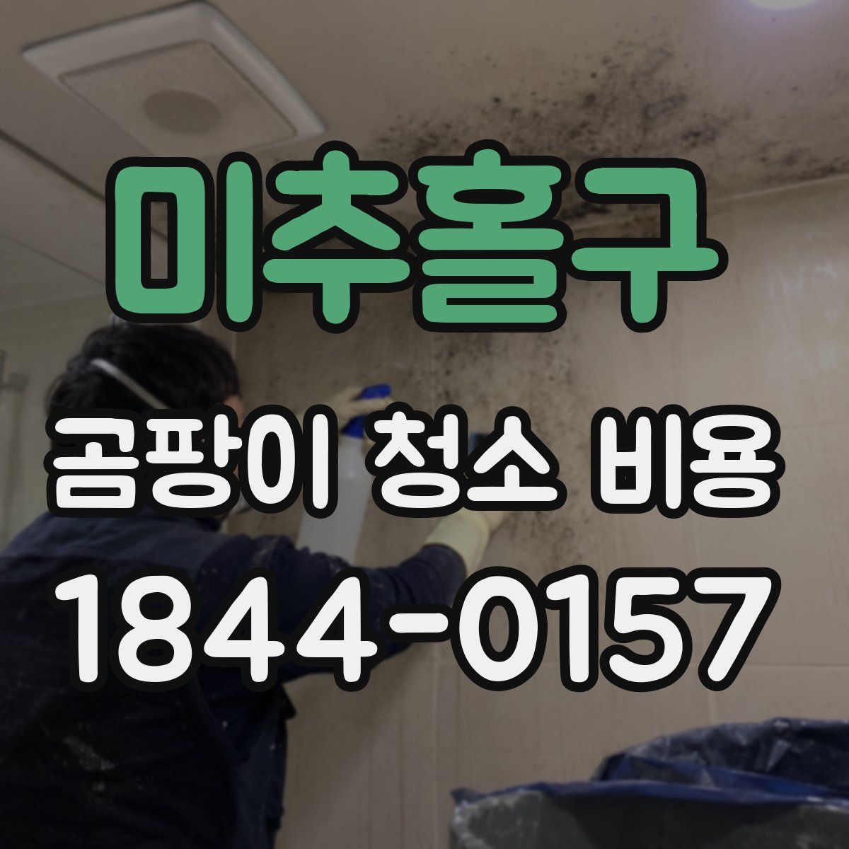 미추홀구 곰팡이 청소 비용