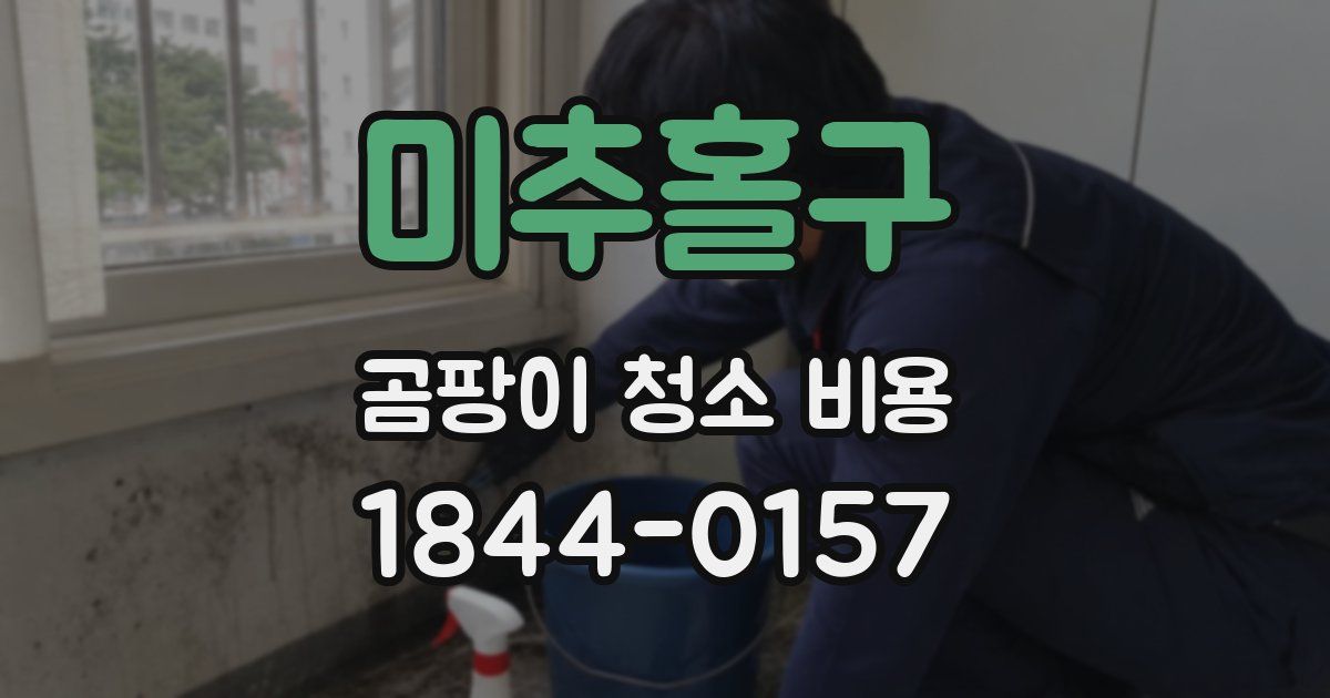 미추홀구 곰팡이 청소 비용