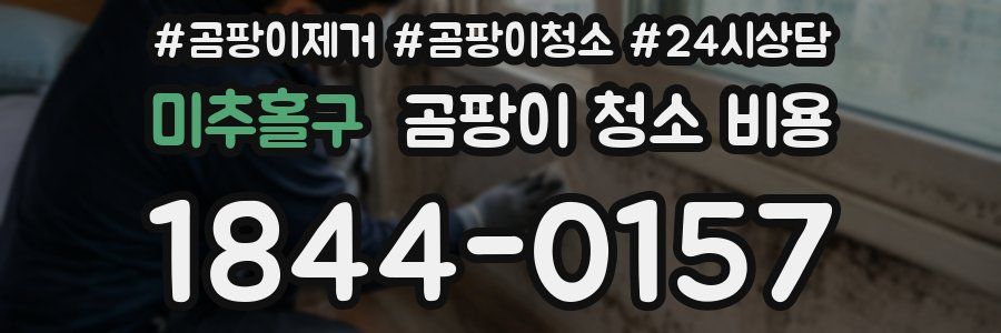 미추홀구 곰팡이 청소 비용
