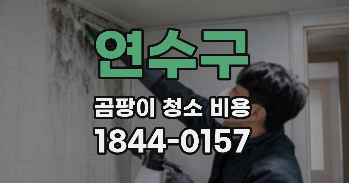 연수구 곰팡이 청소 비용