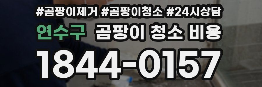 연수구 곰팡이 청소 비용