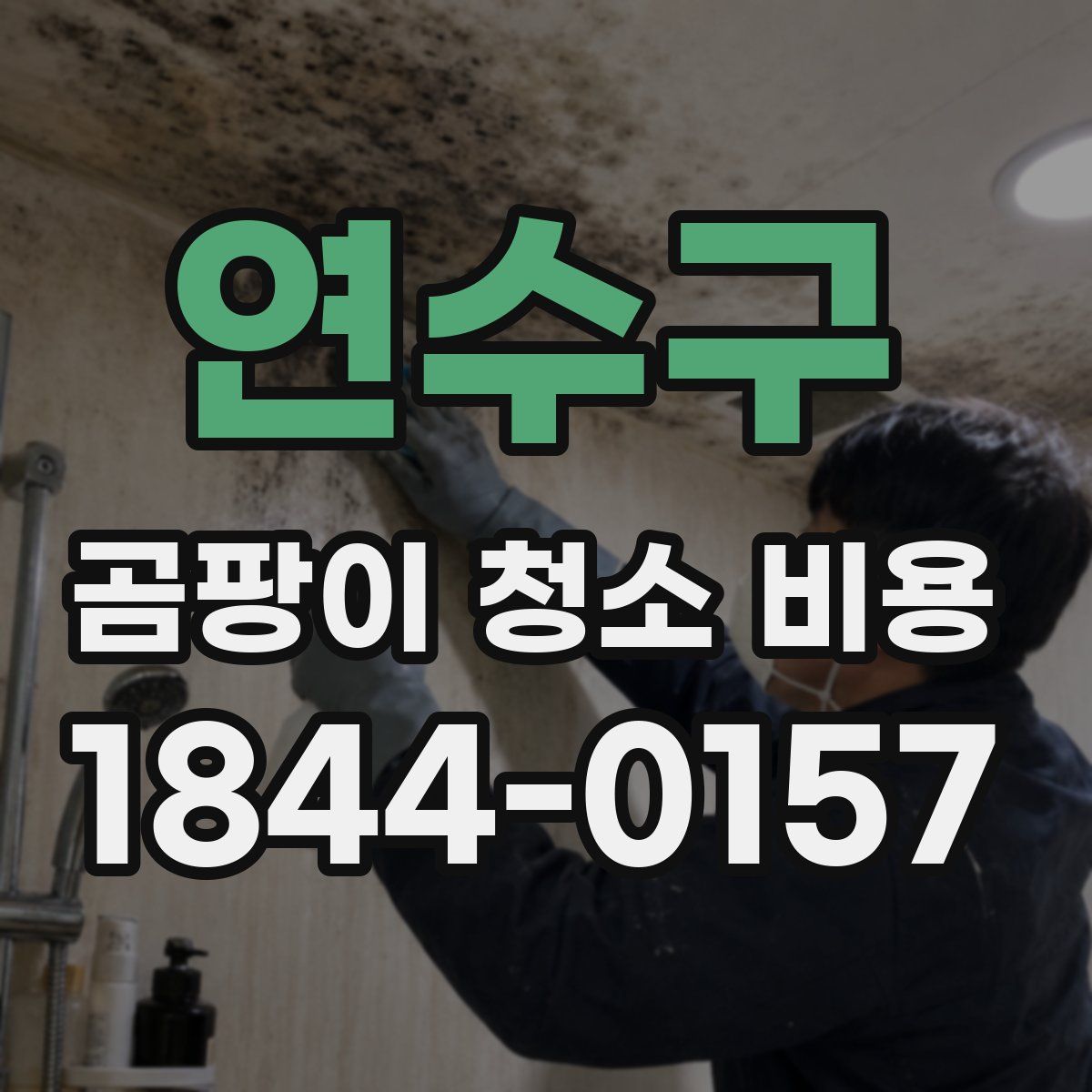 연수구 곰팡이 청소 비용