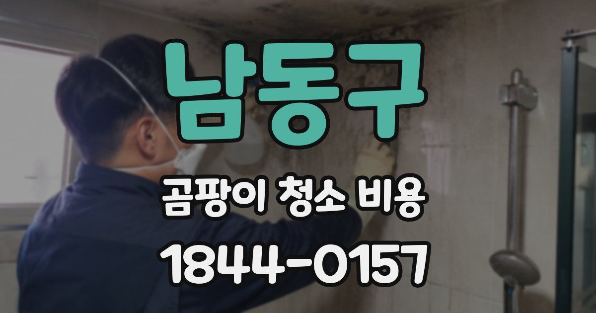 남동구 곰팡이 청소 비용
