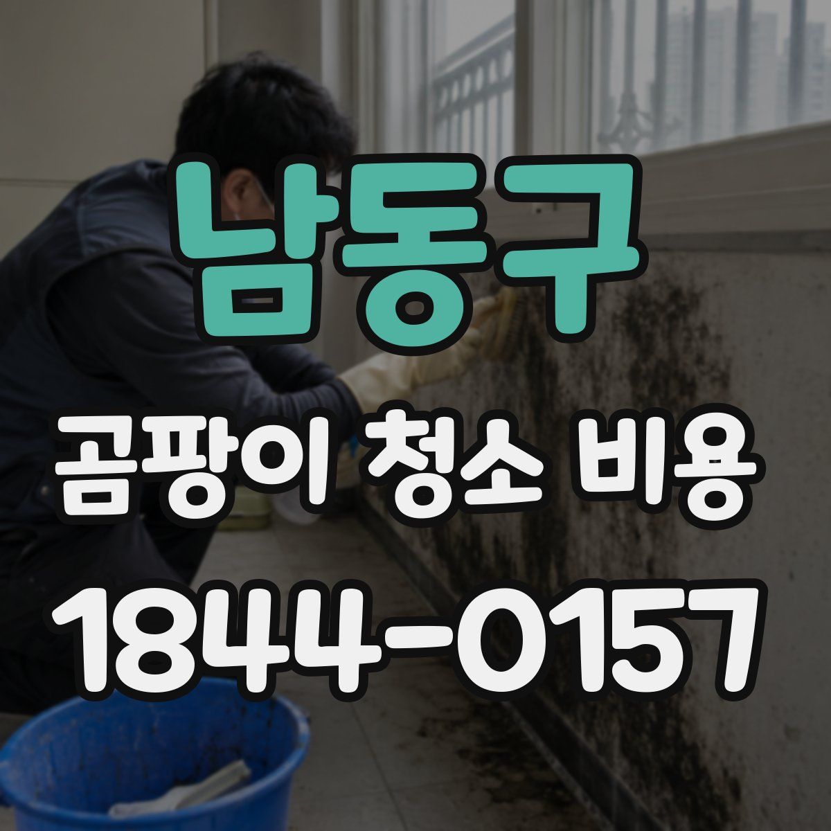 남동구 곰팡이 청소 비용