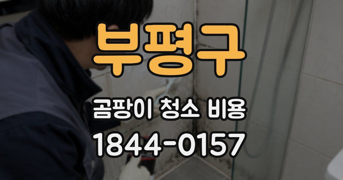 부평구 곰팡이 청소 비용
