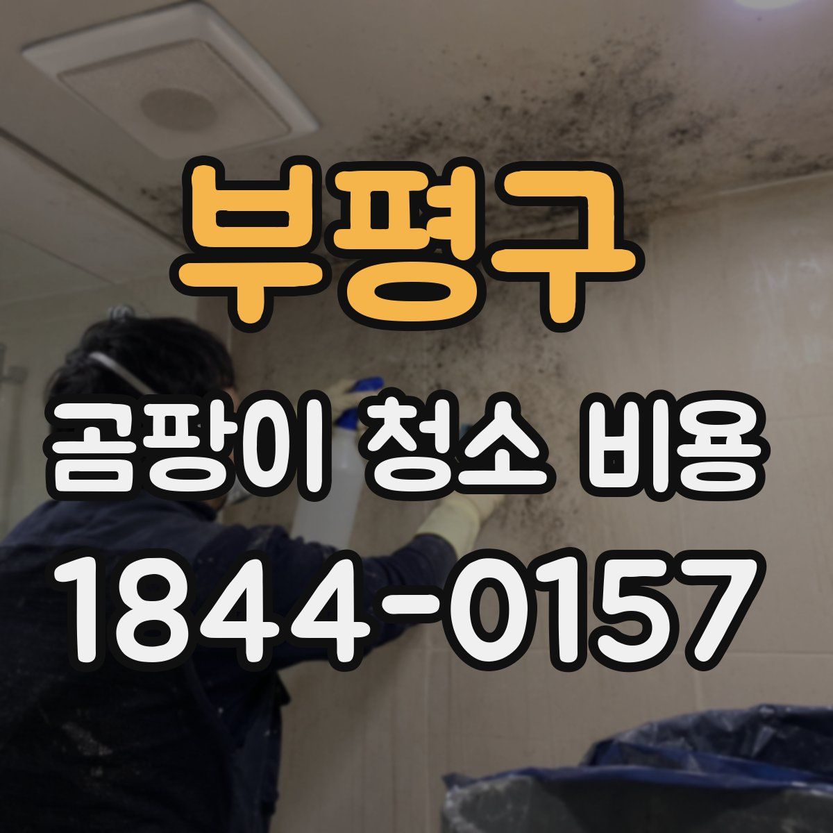 부평구 곰팡이 청소 비용