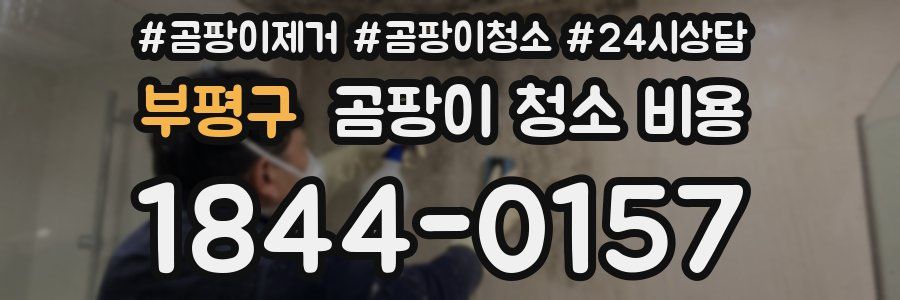 부평구 곰팡이 청소 비용