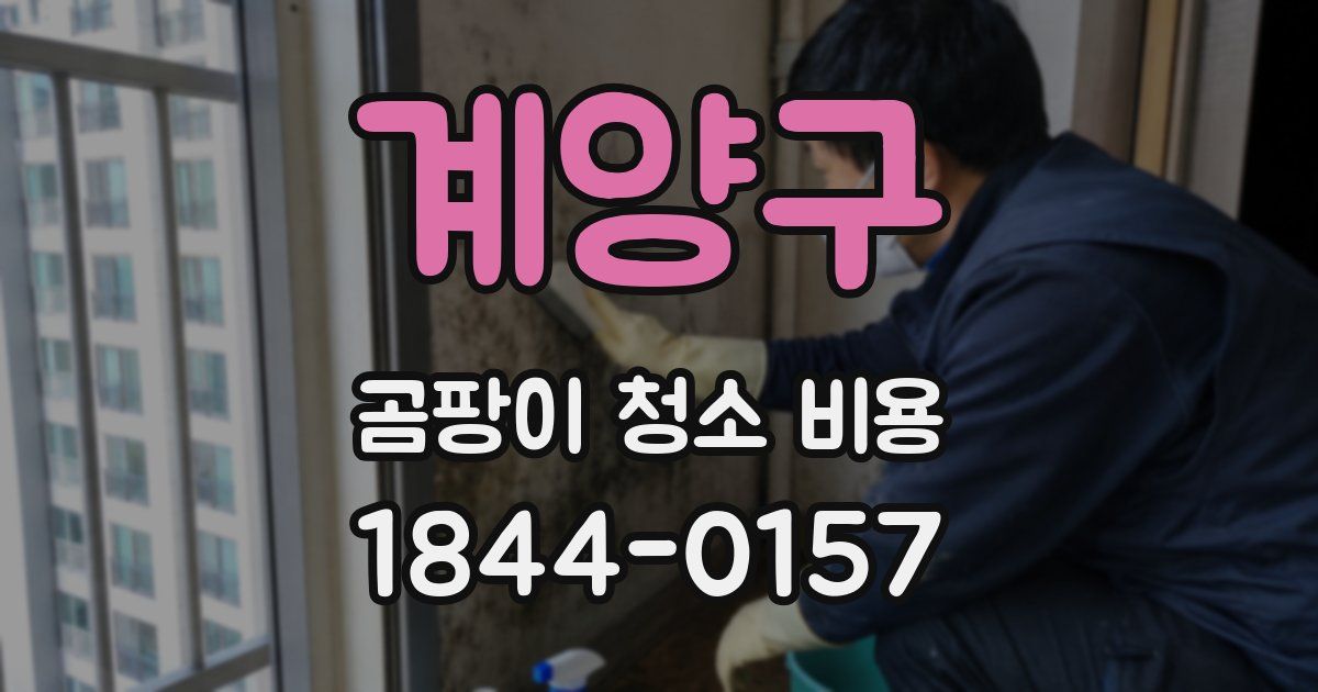 계양구 곰팡이 청소 비용