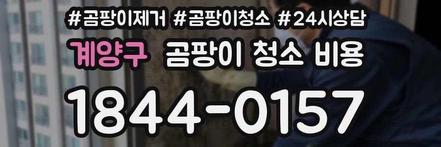 계양구 곰팡이 청소 비용