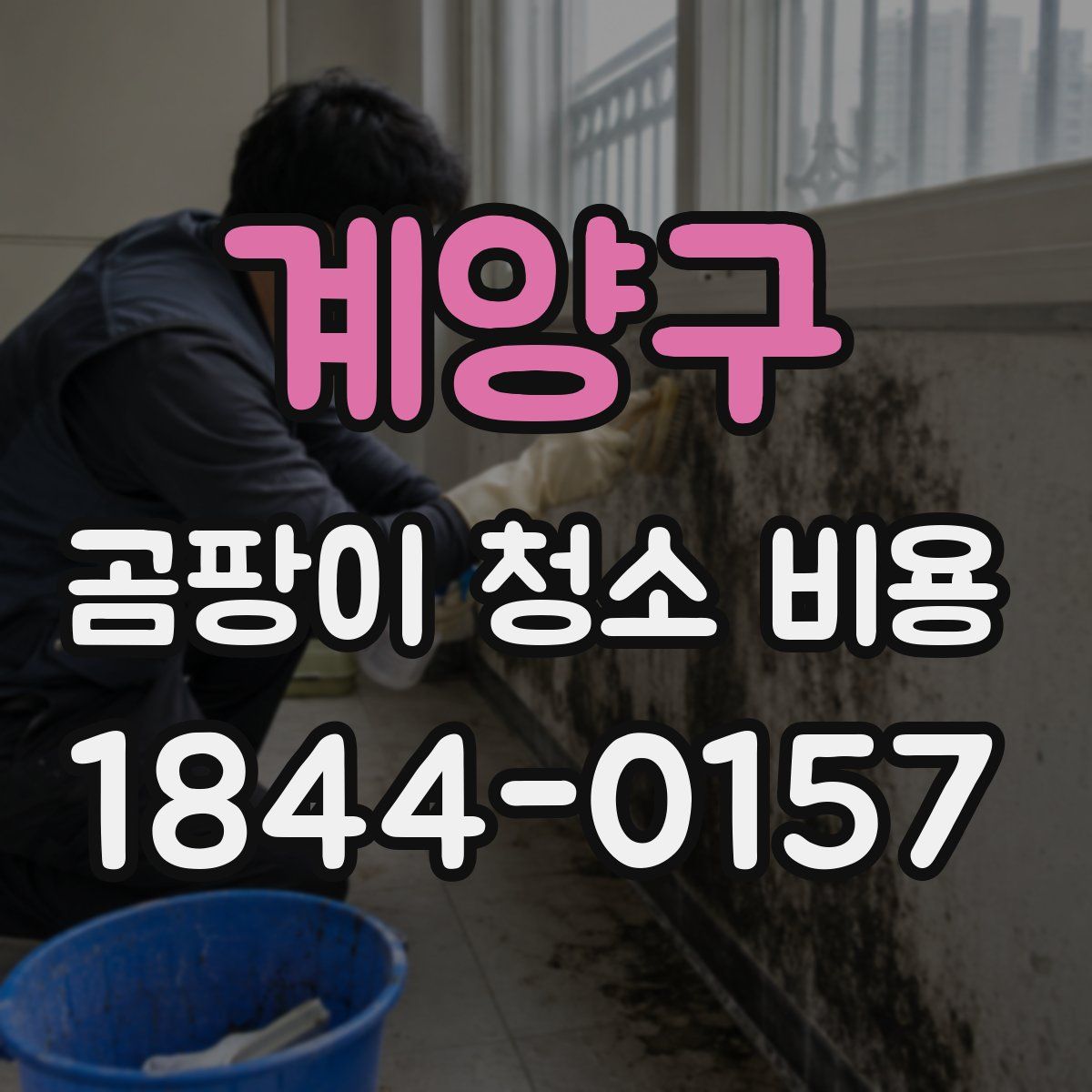 계양구 곰팡이 청소 비용