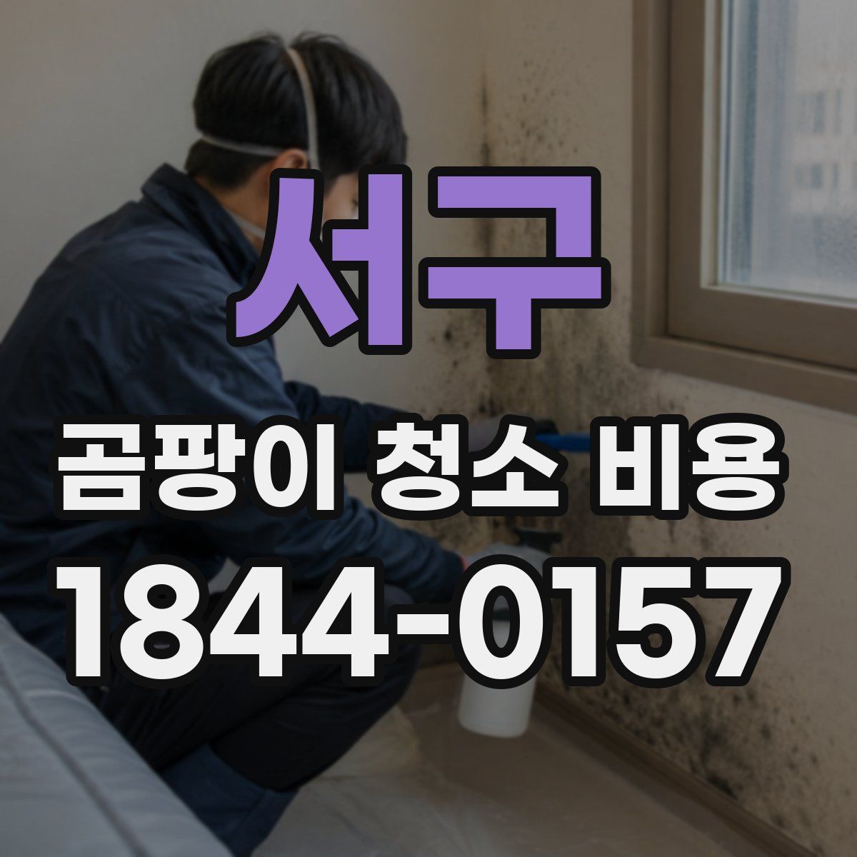 서구 곰팡이 청소 비용