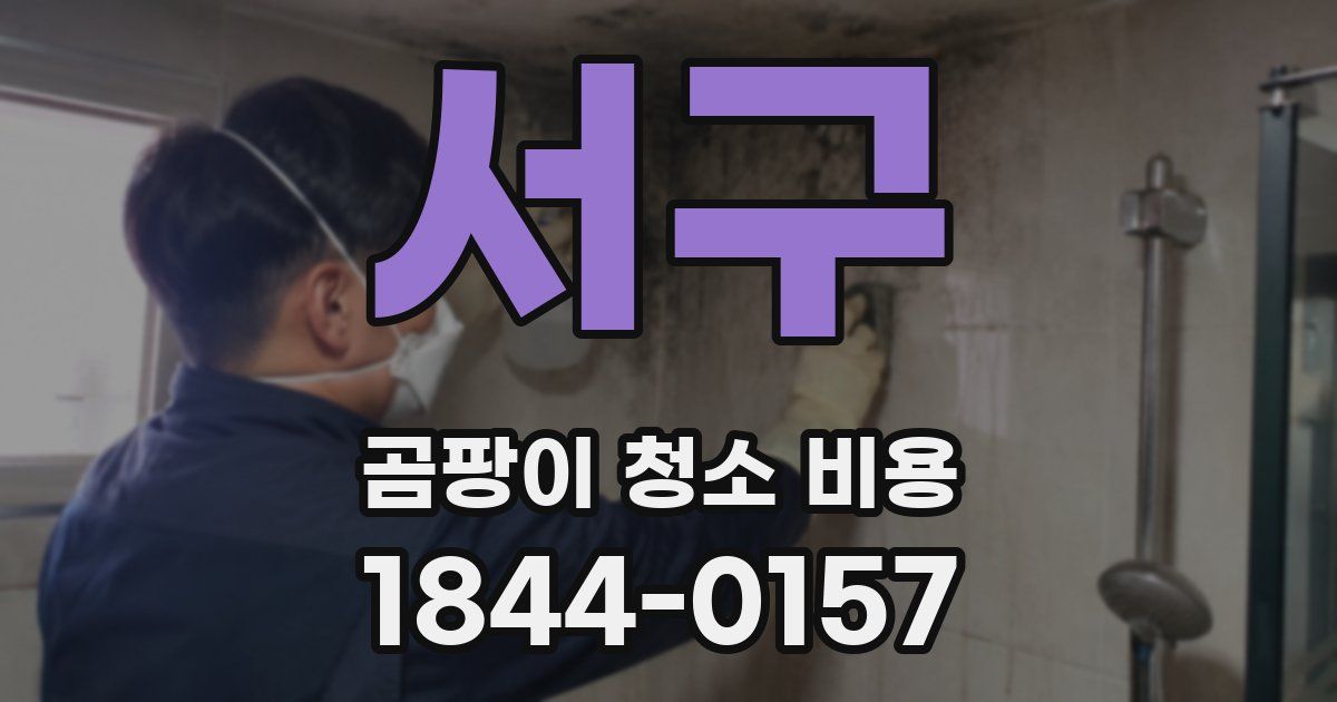 서구 곰팡이 청소 비용