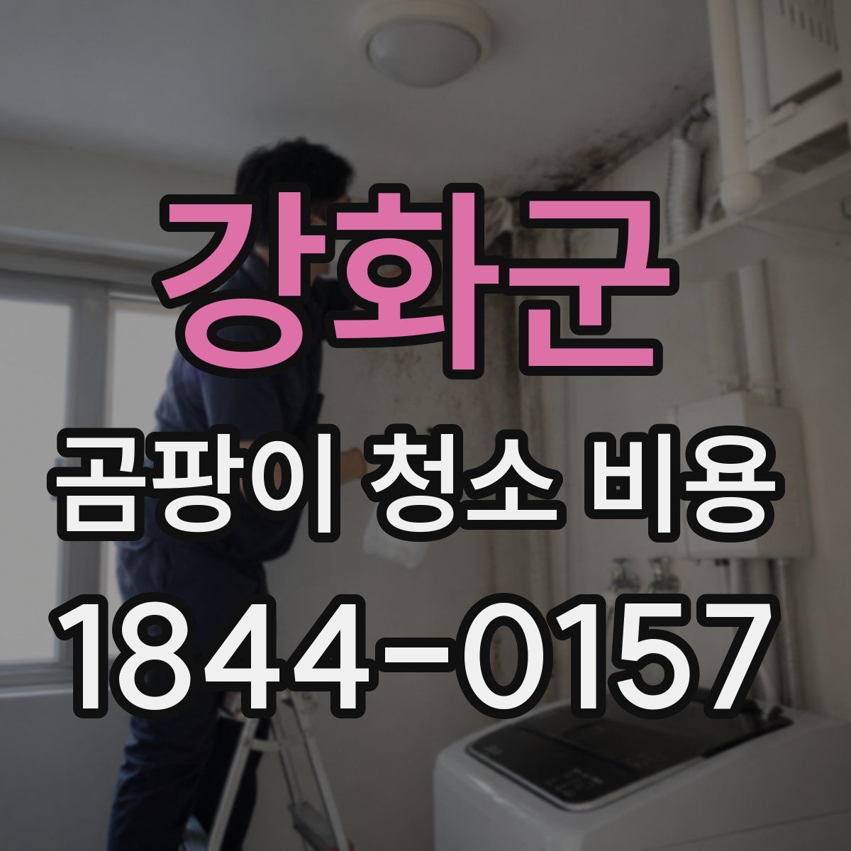 강화군 곰팡이 청소 비용