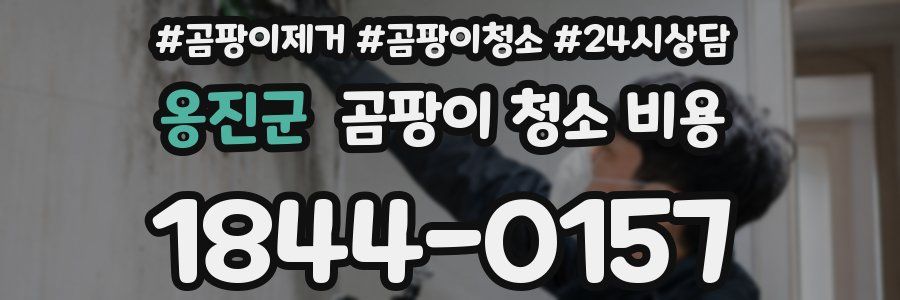 옹진군 곰팡이 청소 비용