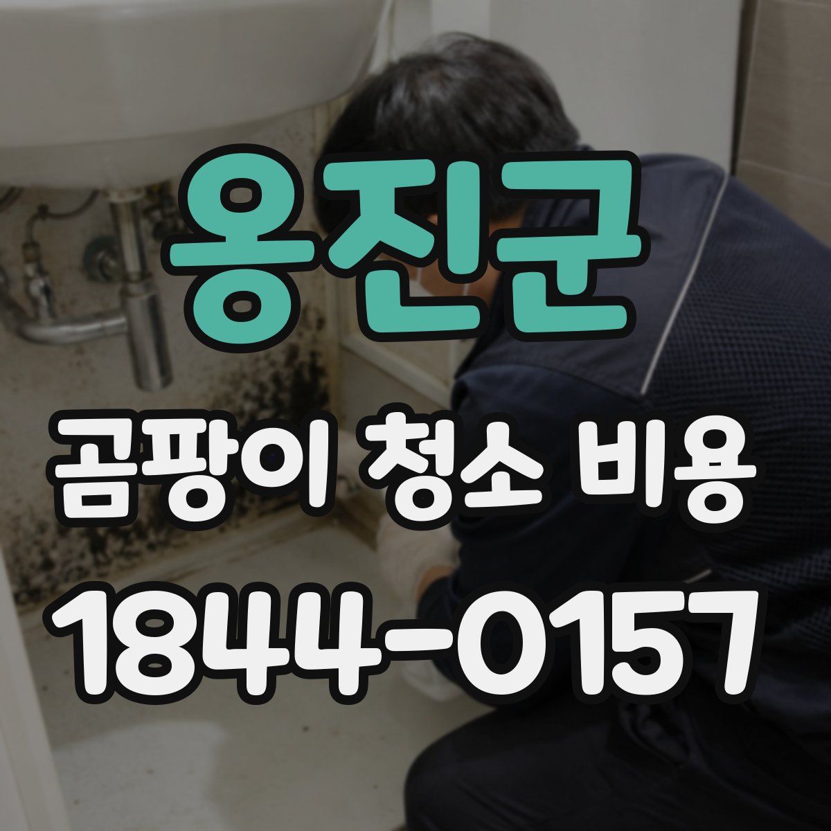 옹진군 곰팡이 청소 비용