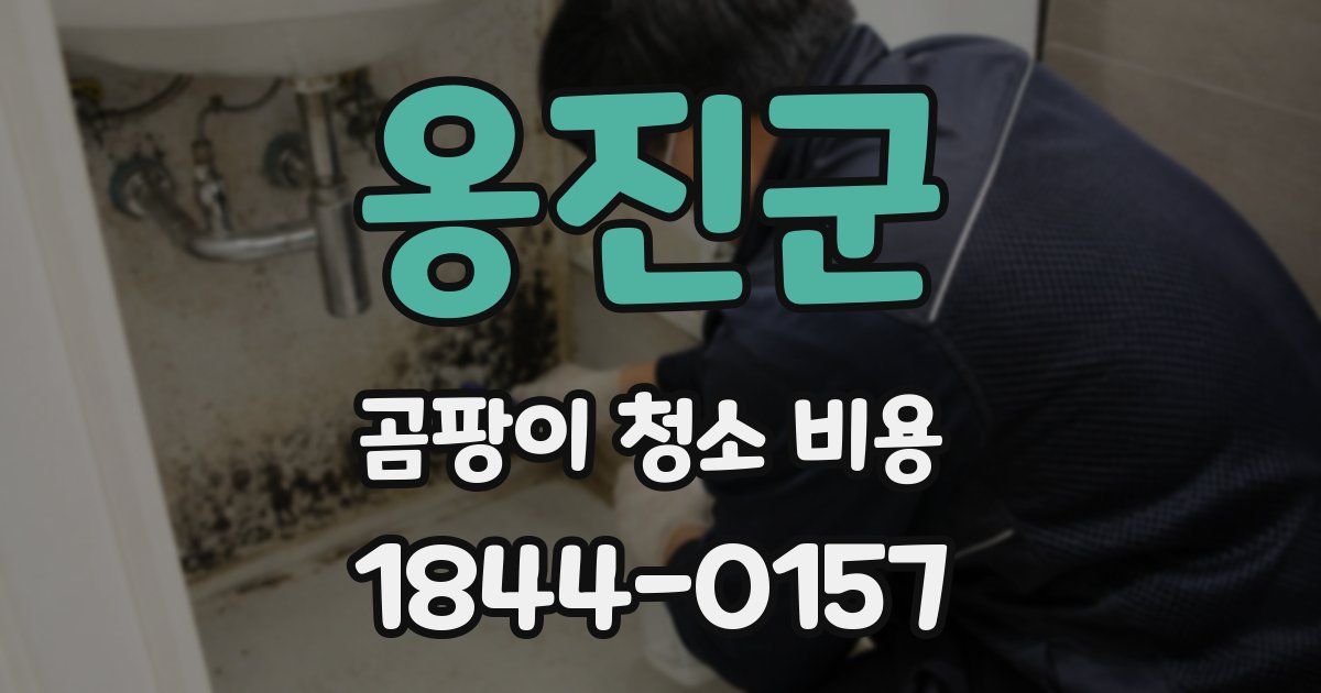 옹진군 곰팡이 청소 비용