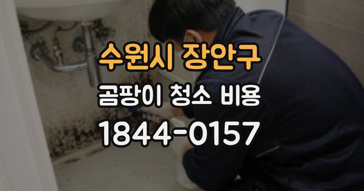 수원시 장안구 곰팡이 청소 비용