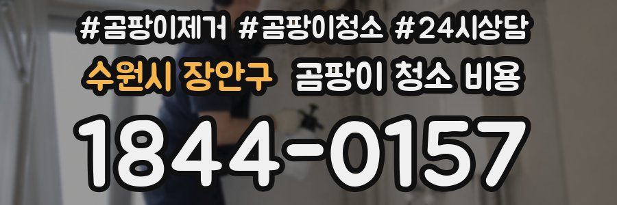 수원시 장안구 곰팡이 청소 비용