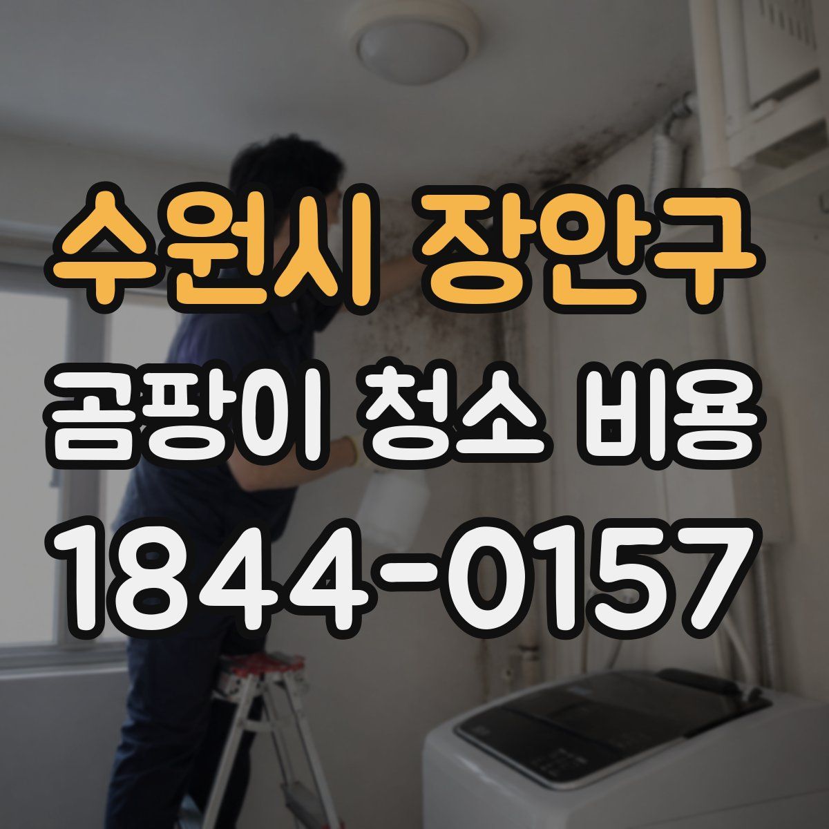 수원시 장안구 곰팡이 청소 비용