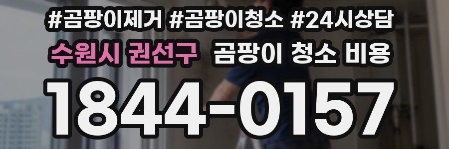 수원시 권선구 곰팡이 청소 비용