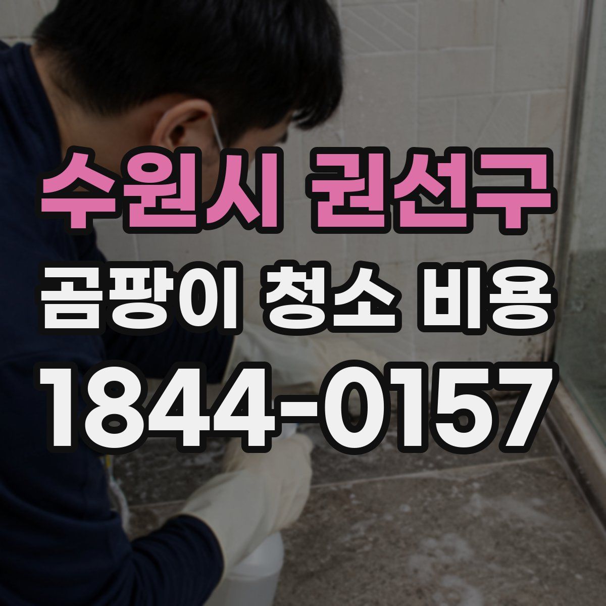 수원시 권선구 곰팡이 청소 비용