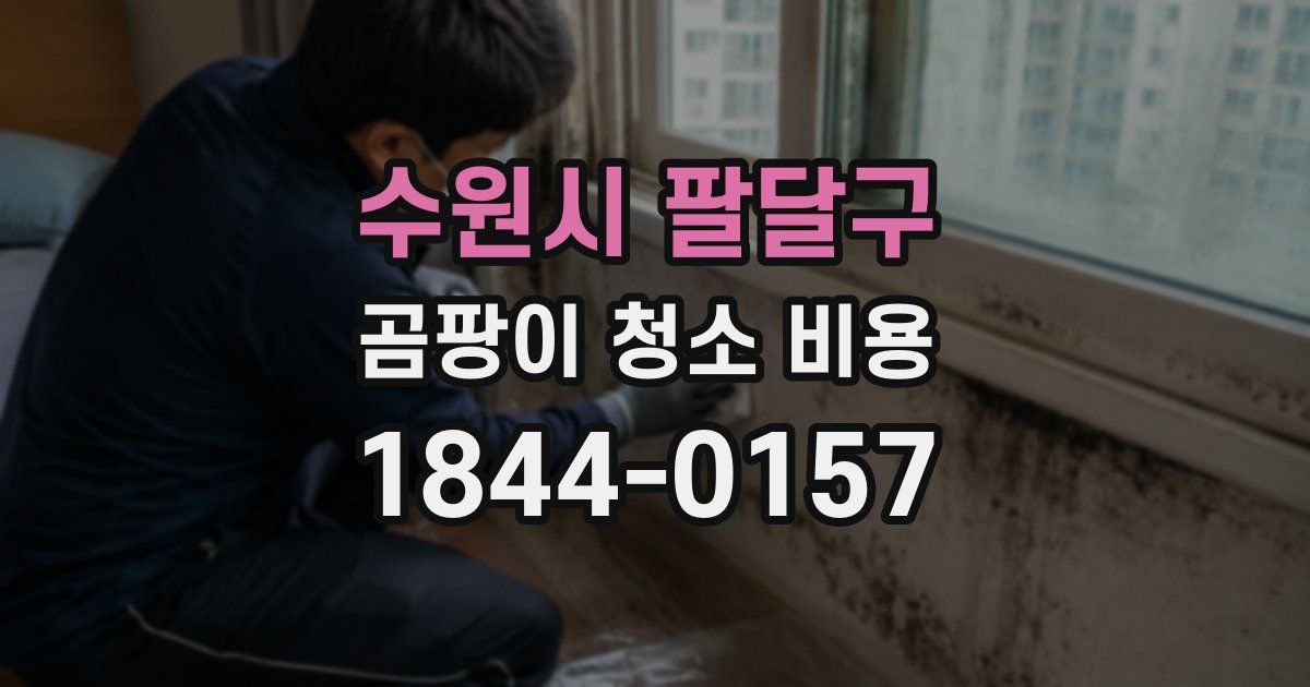 수원시 팔달구 곰팡이 청소 비용