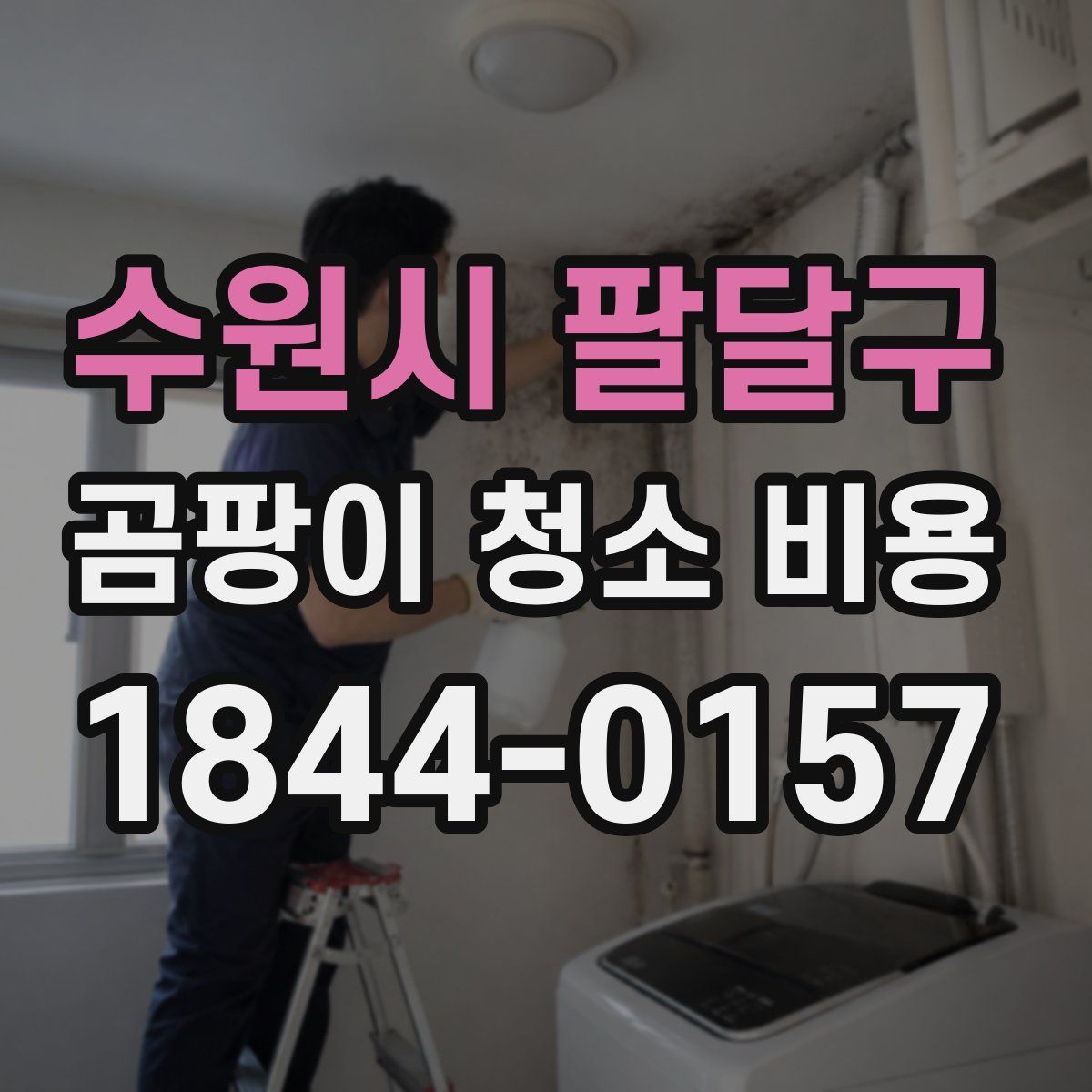 수원시 팔달구 곰팡이 청소 비용
