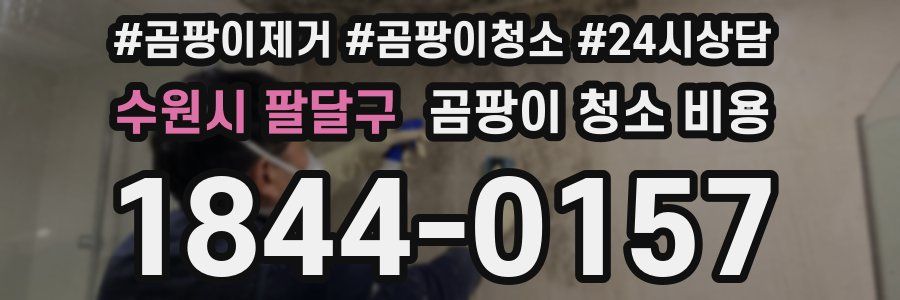 수원시 팔달구 곰팡이 청소 비용