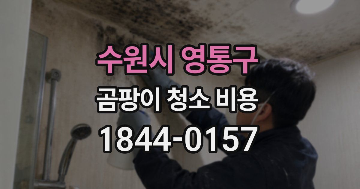 수원시 영통구 곰팡이 청소 비용