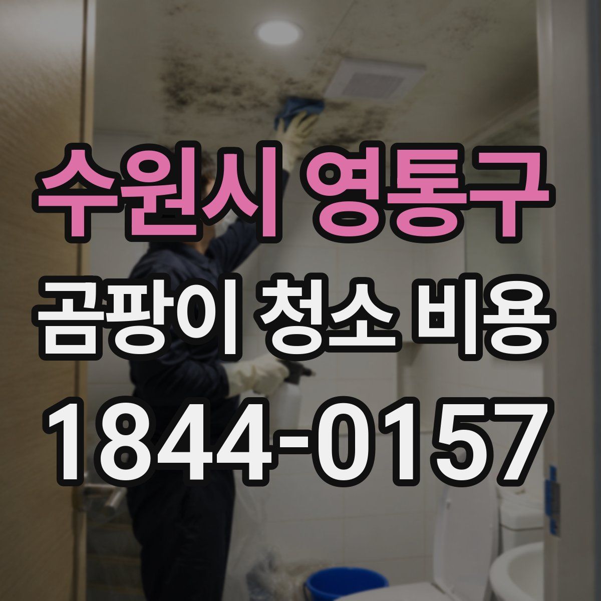 수원시 영통구 곰팡이 청소 비용